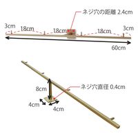 ポッシュリビング フックM アンティークゴールド W60×D8×H4cm アイアン 63871 1個（直送品）