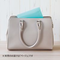 【アウトレット】リヒトラブ マスクケース Ｌ ベージュ A-120-16 1セット（1枚入×5）