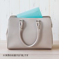 【アウトレット】リヒトラブ マスクケース(L) モモ A-120-12 1セット(5枚)