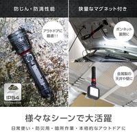 ゼピール LEDライトセット マルチギミックZ Typeライト ZLHー10JA（K） 1台