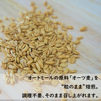 あまくないオーツ麦シリアル 250g 1セット（1個×6） はくばく