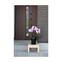 小原産業 プラスチック万能台 正方形 ベージュ 300mm×280mm×200mm ST-429 1個 63-7934-56（直送品）