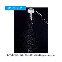 LIXIL エコアクアシャワーSPA(ウルトラファインバブル) BF-SM6-SP 1個 65-8649-80（直送品）