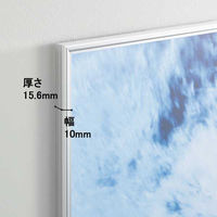 DSパネルプラス(低反射タイプ）　B2　シルバー　アートプリントジャパン オリジナル（わけあり品）