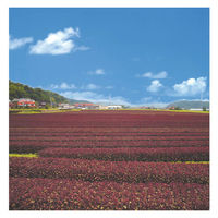 三島食品 ゆかり 大袋 46ｇ 5袋