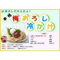 磯じまん 練梅 山海ぶし 紀州産南高梅干100%使用 105g 1セット（2個）