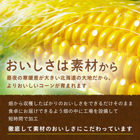 キユーピー サラダクラブ 北海道コーン ホール 100g 1セット（3個）