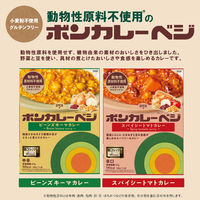 大塚食品 ボンカレーベジ スパイシートマトカレー 辛口 180g　1個