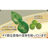 ヤマモリ　タイカレー　パネーン　保存料・化学調味料不使用　160g・1人前　1個　レンジ対応