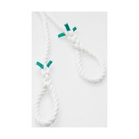 プロモート 作業用リング付トラックロープエステル 01044010 1個 65-3905-11（直送品）