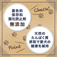 無添加 牛タンチップ 犬用 国産 50g 1袋 ペットプロ ドッグフード おやつ