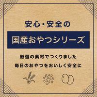 米粉＆ごまチップ 犬用 国産 45g 3袋 ペットプロ ドッグフード おやつ