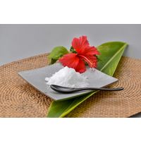 沖縄の塩シママース 1kg 1個 青い海