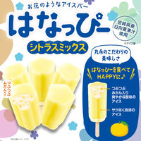 丸永製菓 [アイス] はなっぴー シトラスミックス 5本入り×8箱 4978002000174 1セット(8箱)（直送品）