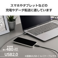 タイプCケーブル 2本セット （A to C/C to C） 2m ブラック MPA-CAECTW20BK エレコム 1個