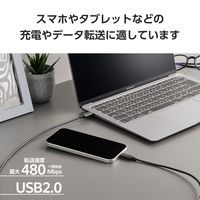 タイプCケーブル 2本セット （USB-C to C） 1m PD 60W 黒 MPA-CCECTW10BK エレコム 1個（直送品）