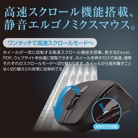 ナカバヤシ 高速スクロール 無線静音 5ボタン BlueLEDマウス Nブラック MUS-RKF164NBK 1個