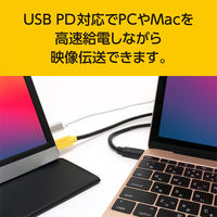 ナカバヤシ Type-C 映像出力/PD給電ケーブル 1.8m USB-CCD18/BK 1本