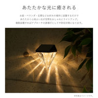 武田コーポレーション ウォールダイヤモンドカットソーラーライト KBDSL-01 1箱(12個入)（直送品）