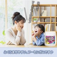 【アウトレット】ロッテ ふ～せんの実ボトル ワクワクみっくす！ 131g 1個 ガム