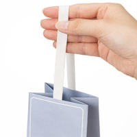 【限定デザイン】 グラデーションギフトバッグ BOTTLE 限定