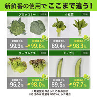 野菜長持ち 新鮮番 野菜室に置くだけ 野菜用 鮮度保持剤 1セット（1個×5）エステー