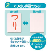 パイロット スイスイおえかき for Study 何回も書ける！お習字入門水書きセット 水で書ける習字 習字 1823115 1個