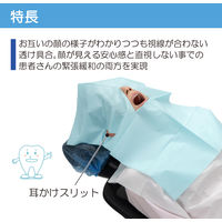 竹虎 三角穴フェイスガード II 007161 1箱(200枚入)