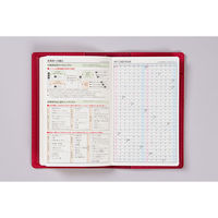 高橋書店 【2025年版】T'beau4 手帳判 見開き1週間 日曜始まり ルージュレッド 331 1冊（直送品）