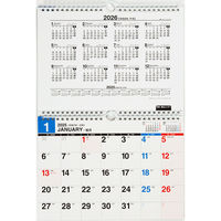 高橋書店 【2025年版】エコカレンダー壁掛 B5×2面 2カ月一覧 月曜始まり E94 1冊（直送品）