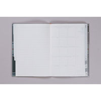 高橋書店 【2025年版】クレールインデックス2 B6 月間 日曜始まり 385 1冊（直送品）