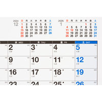 高橋書店 【2025年版】エコカレンダー壁掛 A2 年間 ポスタータイプ E2 1セット(1冊×2)（直送品）