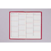 高橋書店 【2025年版】リベルデュオ3 手帳判 月間 日曜始まり クラッシーレッド 263 1セット(1冊×2)（直送品）