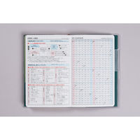 高橋書店 【2025年版】T'beauインデックス3 手帳判 見開き1週間 日曜始まり グリーン 336 1冊（直送品）