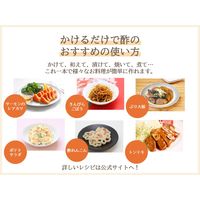 内堀醸造 かけるだけで酢 360ml 1個 （酢の物・マリネ・漬物・炒め物）