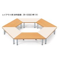 【軒先渡し】ニシキ工業 教育施設テーブル 幅1200×奥行520×高さ580mm メープル AER-1252DL-MP 1台（直送品）