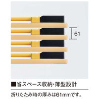 【軒先渡し】ニシキ工業 教育施設テーブル 幅900×奥行600×高さ450mm アイボリー AEW-0960L-IV 1台（直送品）