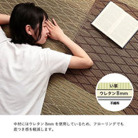 イケヒコ・コーポレーション ダイヤ い草ラグ 無地 1900×1900mm グリーン 1070811123211 1枚（直送品）