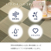 イケヒコ・コーポレーション ブロック い草ラグ ブロック調 2610×2610mm グレー 1080460130502 1枚（直送品）