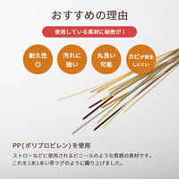 イケヒコ・コーポレーション 洗える ござ 日本製 国産 カーペット リバーシブル 除菌スプレー対応『ミーサ』 1090740020802 1枚