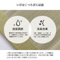 イケヒコ・コーポレーション 寝具 マット マットレス い草 国産 日本製 ボリューム 吸汗 調湿『すずか』 1122960133501 1枚（直送品）