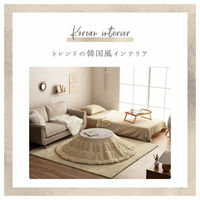 イケヒコ・コーポレーション こたつ布団 無地調『ラピアス』 1181670106711 1枚（直送品）