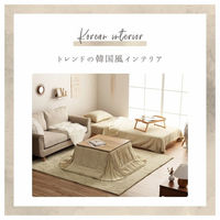 イケヒコ・コーポレーション 省スペース こたつ布団 無地調『ラピアス』 1181670221021 1枚（直送品）