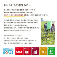 イケヒコ・コーポレーション クッション 円座 穴あき 日本製 オーガニックコットン 綿100%『フロー』 1210880190401 1枚（直送品）