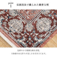 イケヒコ・コーポレーション アルスラーン 玄関マット ウィルトン織 600×950mm ワイン 1311710288501 1枚（直送品）