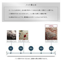 イケヒコ アルスラーン ウィルトンカーペット デザインラグ クラシック柄 1000×1500mm ネイビー 1321700190101 1枚（直送品）