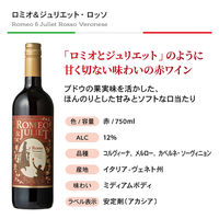 ワインメーカーソムリエ厳選 デイリーイタリア赤ワイン飲み比べ4本セット 1セット（750ml×4本） モンテ物産　飲み比べ