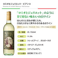 ワインメーカーソムリエ厳選 デイリー辛口白ワイン飲み比べ4本セット 1セット（750ml×4本）　モンテ物産