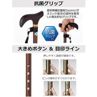 ストリックスデザイン 踏ん張りつえ先ステッキスリム伸縮BR抗菌 SB-031 1本