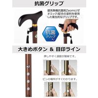 ストリックスデザイン 踏ん張りつえ先ステッキ太め伸縮BR抗菌 SB-030 1本